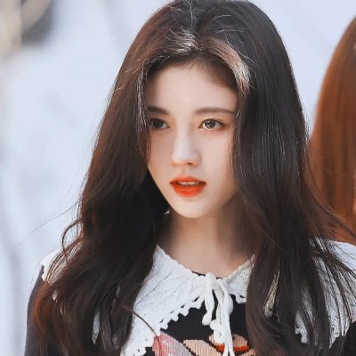 狐蝠